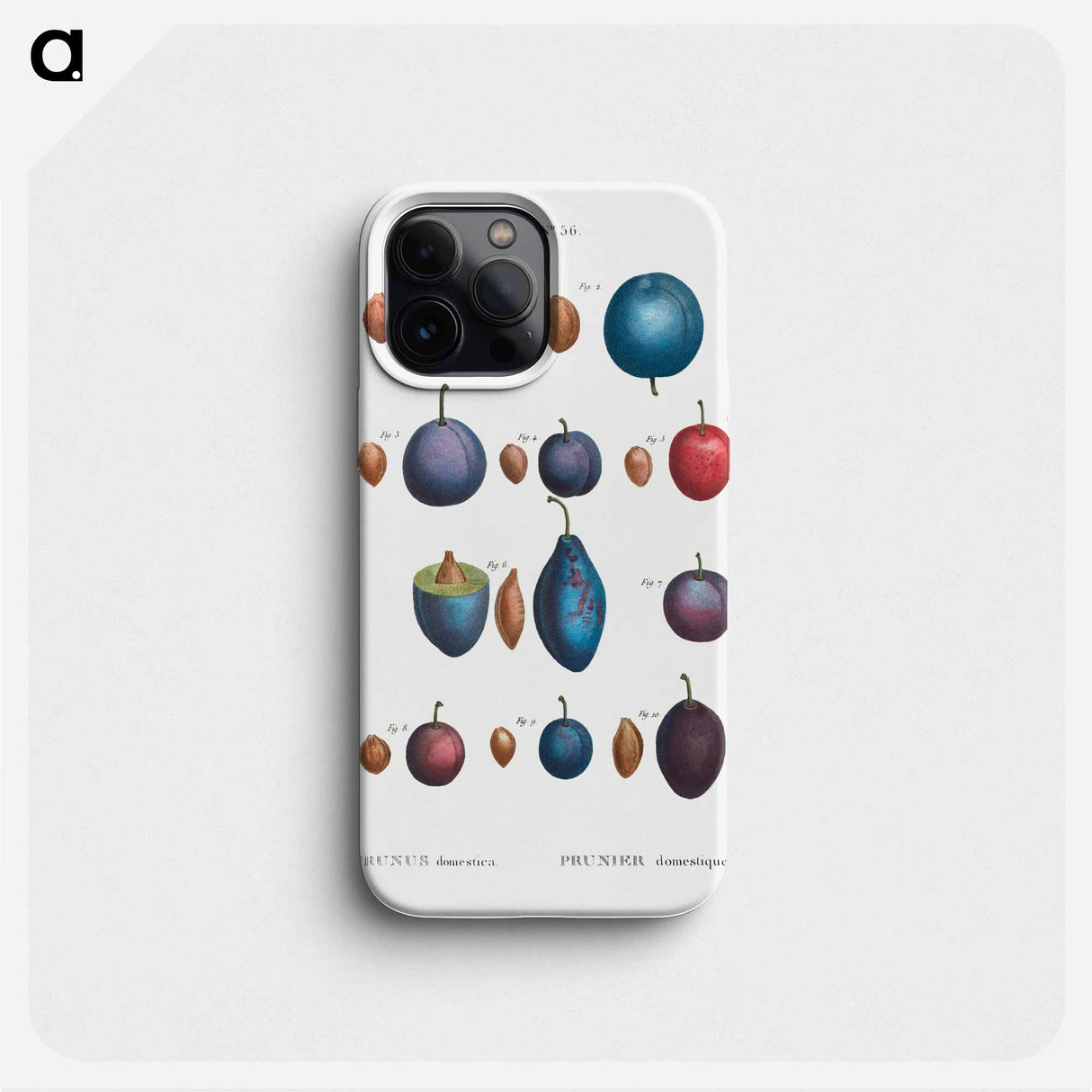 Common plums, Prunus domestafrom Traité des Arbres et Arbustes que l’on cultive en France en pleine terre - ピエール ジョゼフ ルドゥーテ Phone Case.