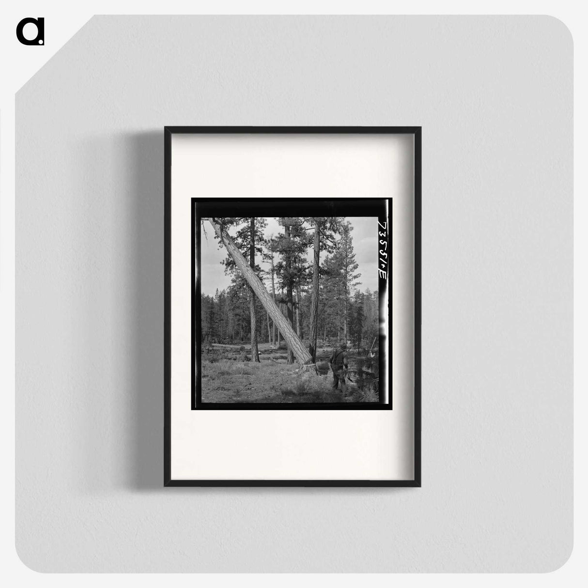 2-94_Russell-Lee_blk