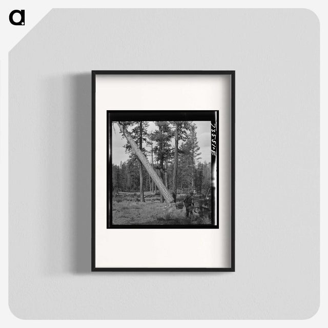 2-94_Russell-Lee_blk