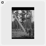 アートポストカード-Malheur National Forest
 - ラッセル リー Postcard.