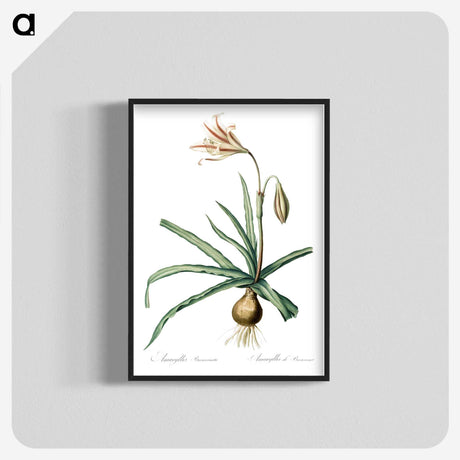 2-94_The-Lilies_blk-crop