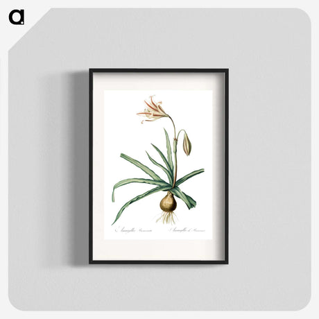 2-94_The-Lilies_blk