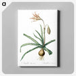 2-94_The-Lilies_canvas