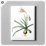 2-94_The-Lilies_canvas