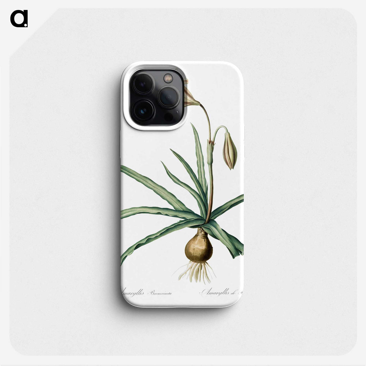 2-94_The-Lilies_phone