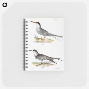 アートメモ帳-Tern - ニューヨークの動物学 Memo.