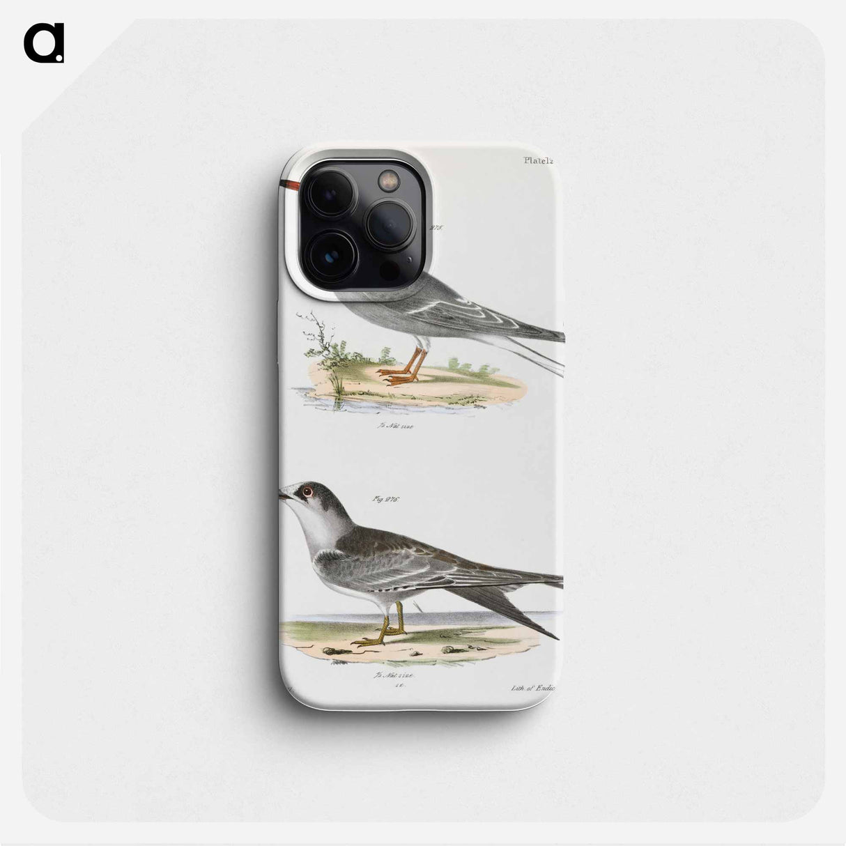 Tern - ニューヨークの動物学 Phone Case.