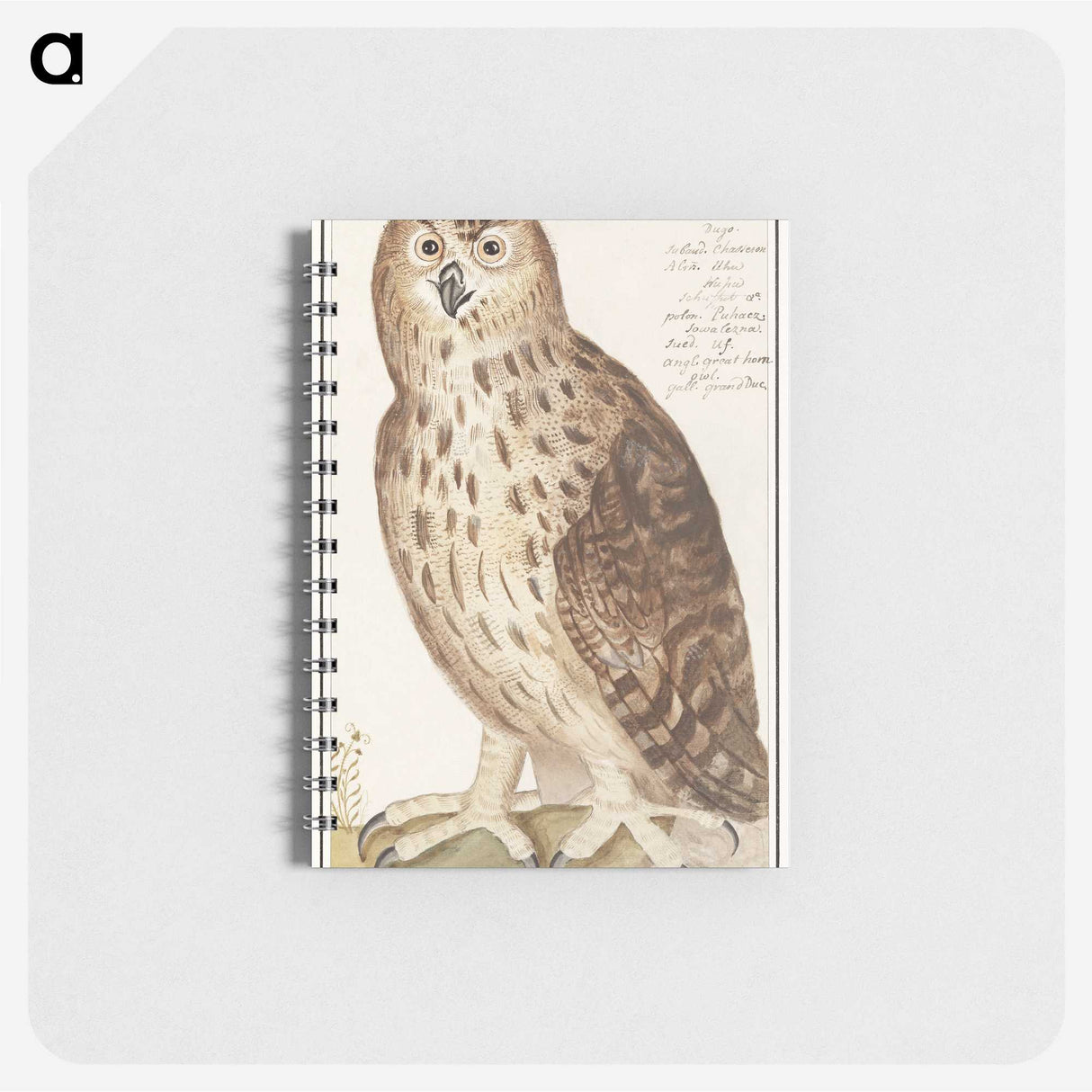 2-95_Anselmus-Boetius-de-Boodt_memo