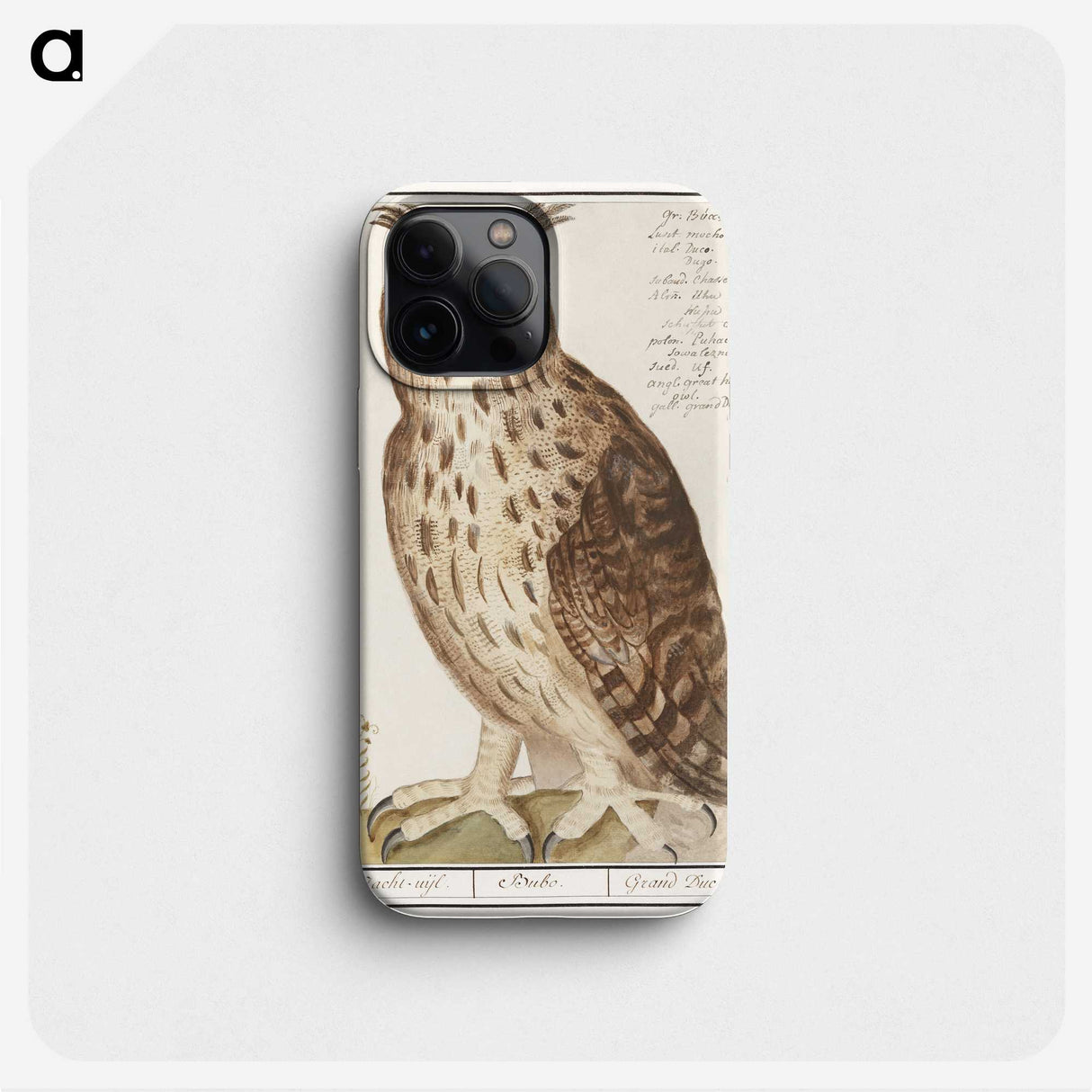 2-95_Anselmus-Boetius-de-Boodt_phone