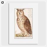 Eagle Owl - アンセルムス ボエティウス デ ブート Poster.