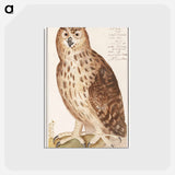 アートポストカード-Eagle Owl - アンセルムス ボエティウス デ ブート Postcard.