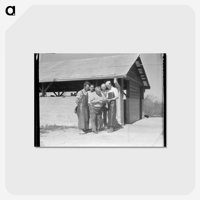 2-95_Dorothea-Lange_postcard