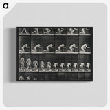 2-95_Eadweard-Muybridge_blk-crop