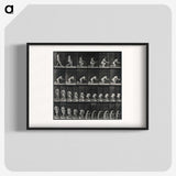 2-95_Eadweard-Muybridge_blk