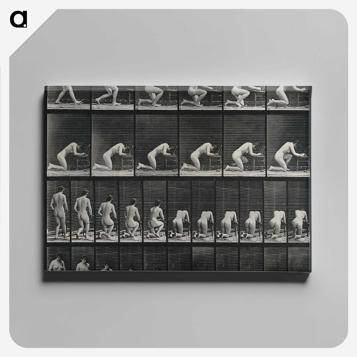 2-95_Eadweard-Muybridge_canvas