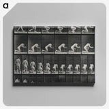 2-95_Eadweard-Muybridge_canvas