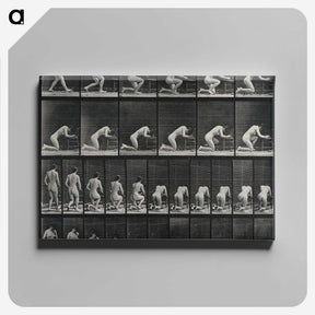2-95_Eadweard-Muybridge_canvas