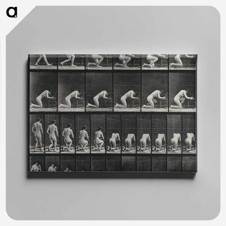 2-95_Eadweard-Muybridge_canvas