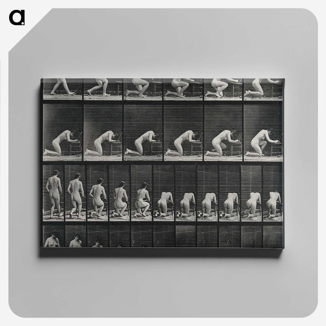 2-95_Eadweard-Muybridge_canvas