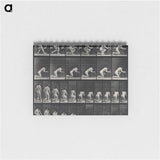 2-95_Eadweard-Muybridge_memo