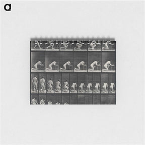 2-95_Eadweard-Muybridge_memo