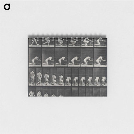 2-95_Eadweard-Muybridge_memo