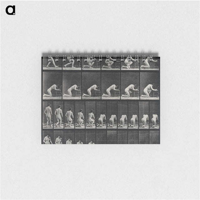 2-95_Eadweard-Muybridge_memo