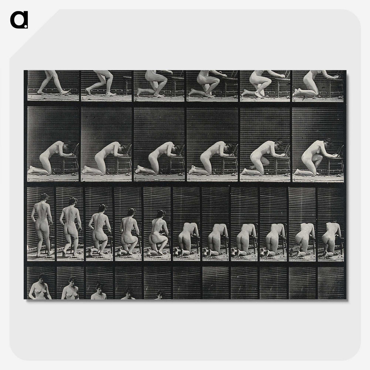 2-95_Eadweard-Muybridge_picture-crop