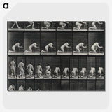 2-95_Eadweard-Muybridge_picture-crop