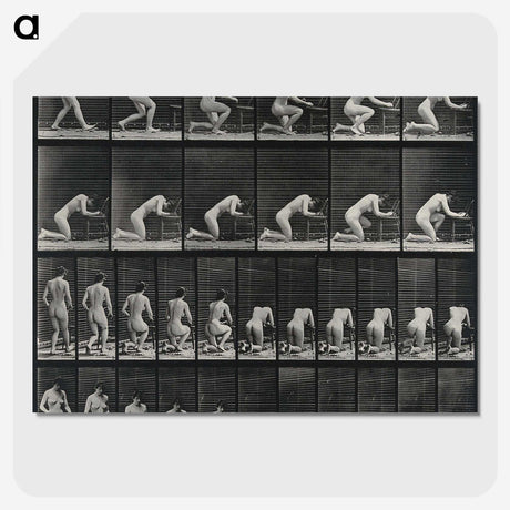 2-95_Eadweard-Muybridge_picture-crop