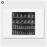 2-95_Eadweard-Muybridge_picture