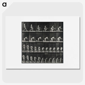 2-95_Eadweard-Muybridge_picture