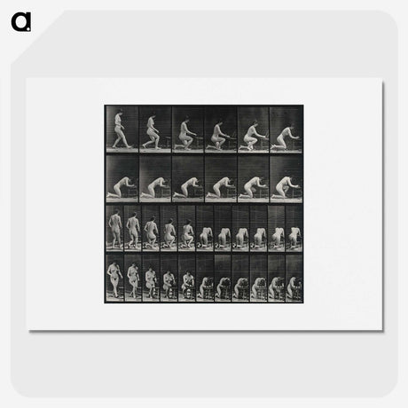 2-95_Eadweard-Muybridge_picture