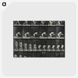 2-95_Eadweard-Muybridge_postcard