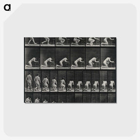 2-95_Eadweard-Muybridge_postcard