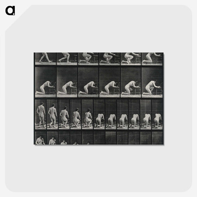 2-95_Eadweard-Muybridge_postcard