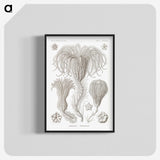 2-95_Ernst-Haeckel_blk-crop