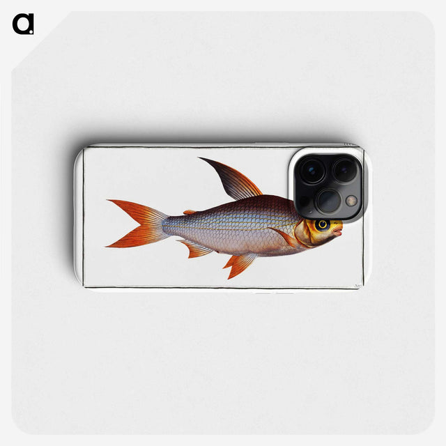 2-95_Ichtyologie-ou-Histoire-naturelle_phone