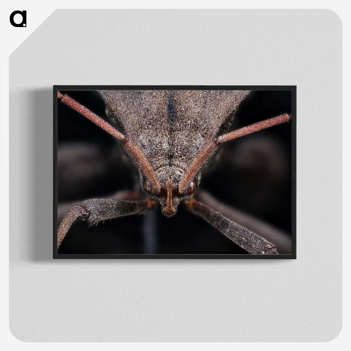 2-95_Insects-Unlocked-Project_blk-crop