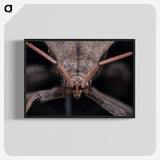 2-95_Insects-Unlocked-Project_blk-crop