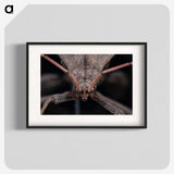 2-95_Insects-Unlocked-Project_blk