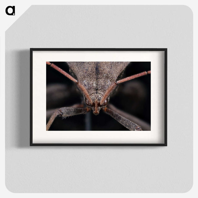 2-95_Insects-Unlocked-Project_blk
