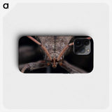 2-95_Insects-Unlocked-Project_phone