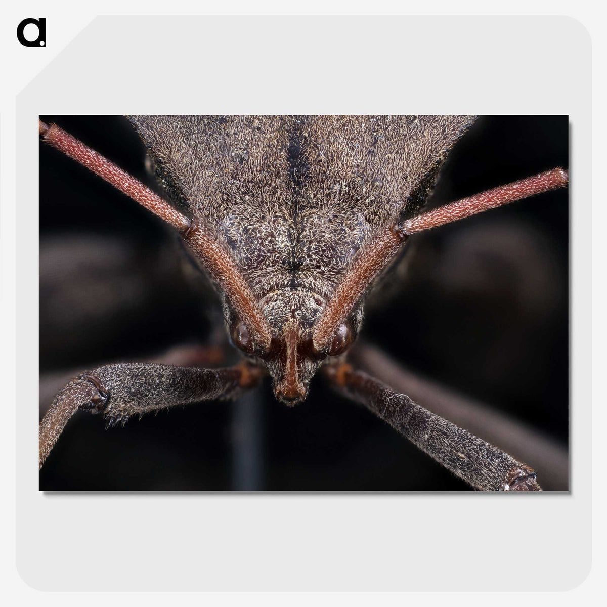 2-95_Insects-Unlocked-Project_picture-crop