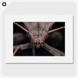 2-95_Insects-Unlocked-Project_picture