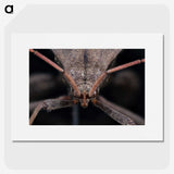 2-95_Insects-Unlocked-Project_picture