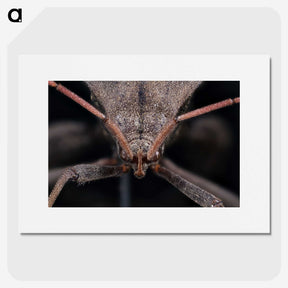 2-95_Insects-Unlocked-Project_picture