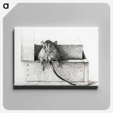 アートパネル-Mouse - ジャン ベルナール Canvas.