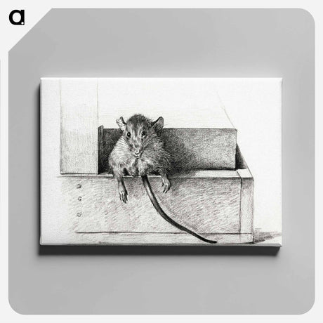 アートパネル-Mouse - ジャン ベルナール Canvas.