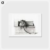アートポストカード-Mouse - ジャン ベルナール Postcard.